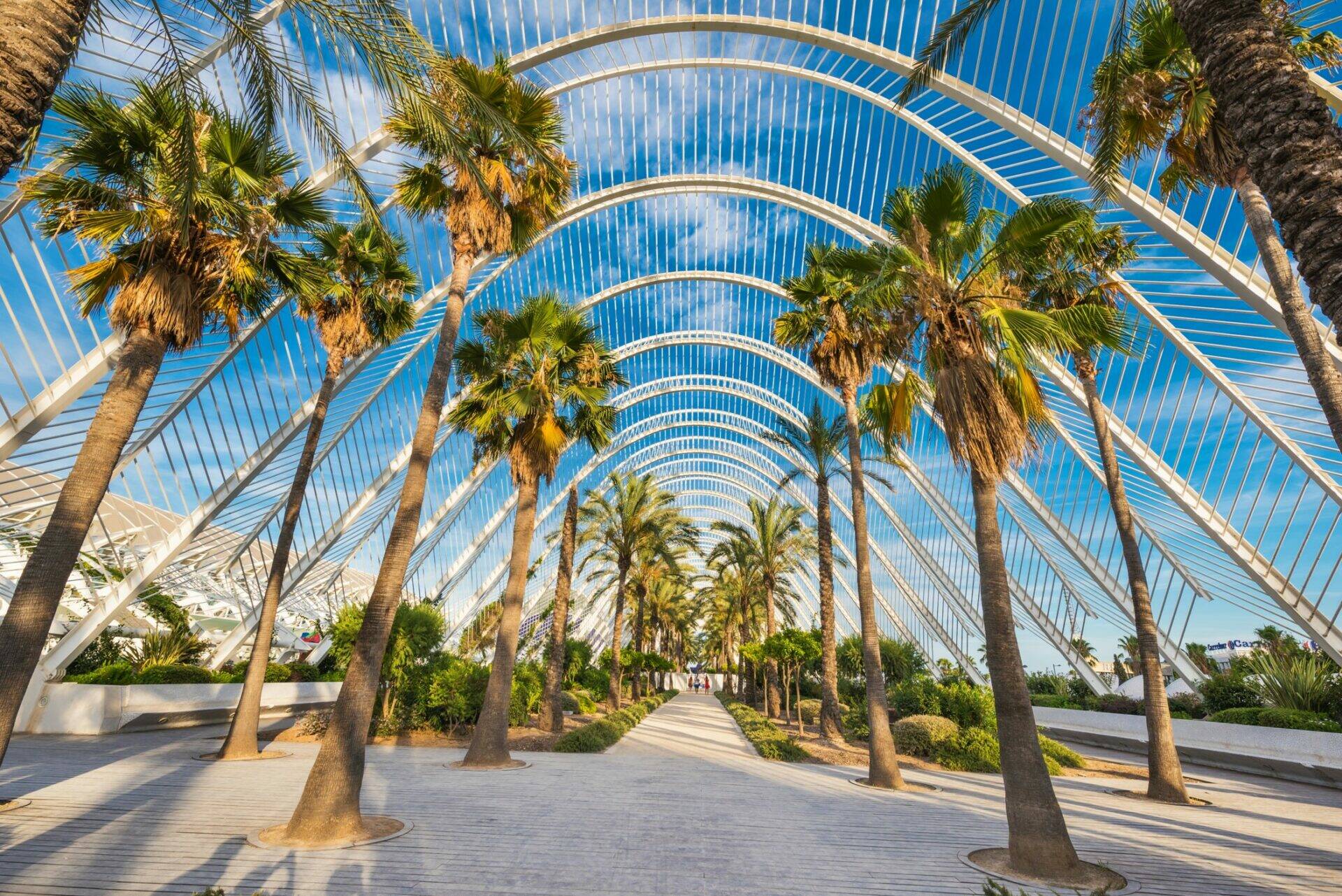 valencia-spain.jpg